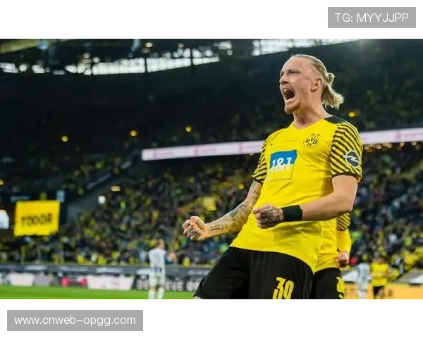 德甲球迷文化:多特蒙德主场上座率领跑全联赛 德甲球迷文化:多特蒙德主场上座率领跑全联赛